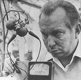 A person holding a measuring device

AI-generated content may be incorrect.